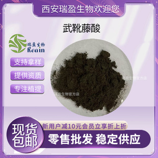 ��ѥ����25% 40% ��ѥ����ȡ�� ���� �F؛���� �׸����� �����Մ