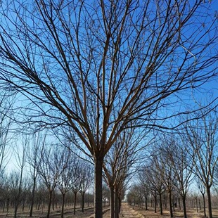 �G��������ľֱ�l �������� �е��� ���|���� Ʒ�NҎ��ȫ�r��