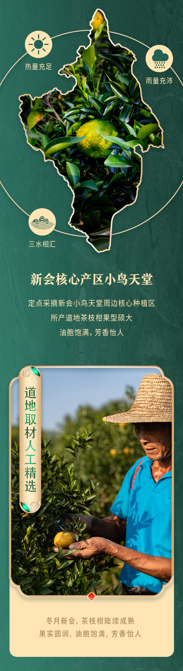 和轩陈皮2018(2_04