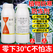 ���⿹��ֲ�����Һ����ľ����������������S�տ������������ڼ�