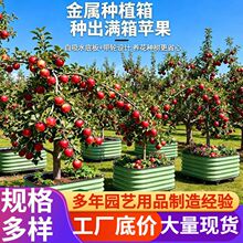 �羳�����Ƅӽ��ٷNֲ��һ�ײˈ@���⻨���̨��픷N���N����