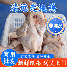 ���r���h�u��ֻ������S�u�����u���u�חl���bȫ�u���r�u�������l