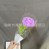 Rose flowers light purple