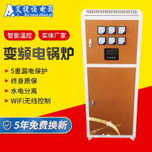 变频电锅炉220V/380V家用商用采暖炉立式全自动电壁挂炉批发纳米