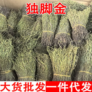 ���_��ݸ�؛��e��С���_θ�����_���ǽ��Ҝ����_�����l���l