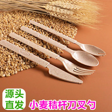 麦秸秆纤维一次性叉勺加厚长柄商用美式可降解牛皮纸袋单独包装