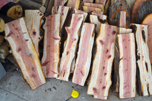 ���°�������ش̰ر�؈A�ؙuľ����ľˇ�b���ֹ�ľ����ľ