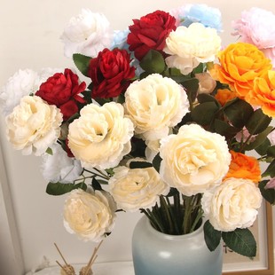 ���滨�ٻ����^��ĵ�����Wʽ��оõ���c���üҾӾƵ�zӰ����