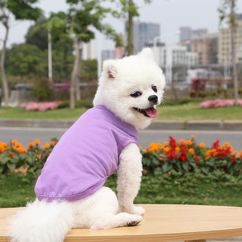 Teddy panda, small, medium and large dogs, spring, summer and autumn new pet clothes, vests, two-legged clothes