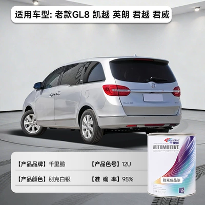 Cans of Various Models, Anti-Rust | Avtomobil boyası - old-gl8-excelle-yinglang-lacrosse-regal-buick-silver-11lcan-liquid-paint