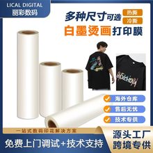 厂家直销30cm单面白墨烫画膜 高品质服装热转印膜纸DTF膜耐洗耐磨