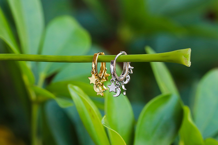 2g Weight Zircon Inlay Material Earrings Classification Housewarming, Anniversary, Business, Wedding, Travel, Birthday, Festival Occasion Korea Simple Fashion Personality Star Earrings
