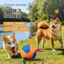 ������������R����������Ӗ��呟���ߌ����Α������z������