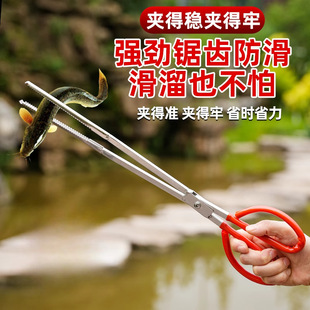 [Serrated Anti-Slip] New Stainless Steel Eel Clip, Loach Clip, Crab and Lobster Clip, Sea Catcher Clip, Garbage Clip