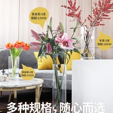 透明加厚直筒玻璃花瓶水培植物芍药水养龙柳马醉木富贵竹插花