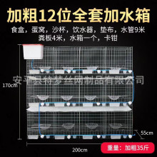 鸽笼批发 三层十二位鸽笼 鸽笼四层 鸽子养殖 鸽子笼网片