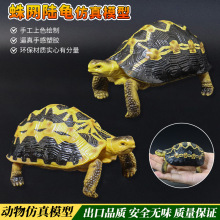 仿真实心蛛网龟陆龟模型玩具象龟塑胶苏卡达乌龟星龟摆件儿童礼物