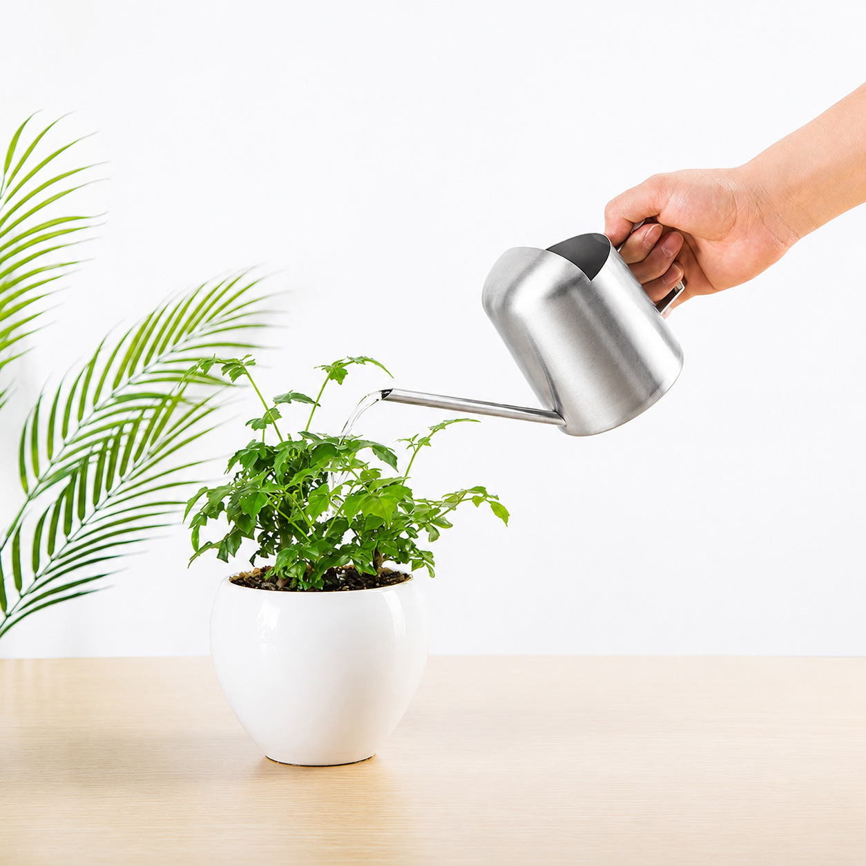 Maceta de acero inoxidable boca larga metal jardinería verde planta suculenta regadera pequeños niños mini regadera 300ml