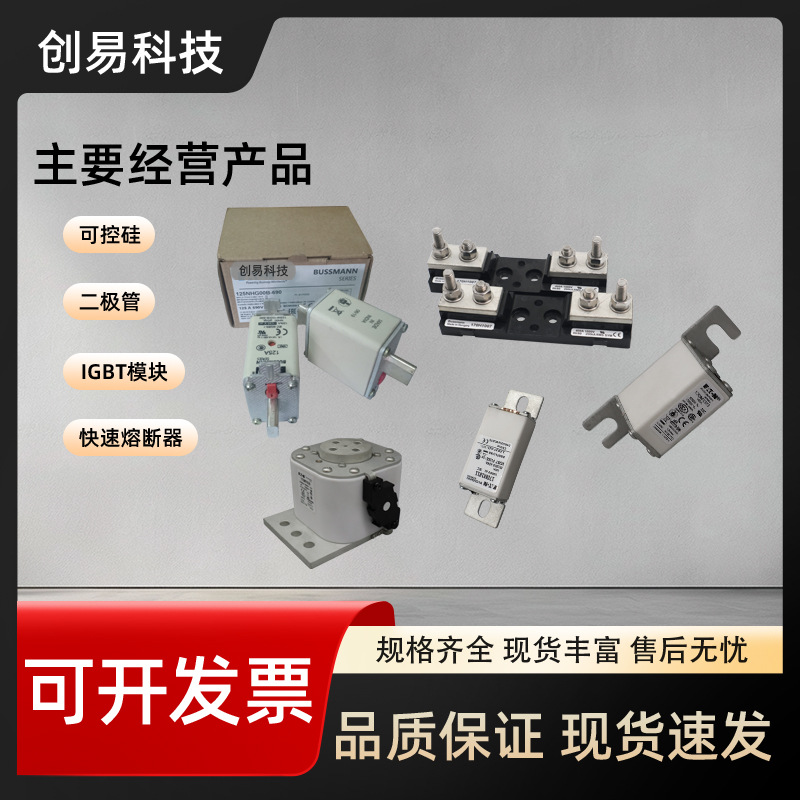 170M4951 170M4952 170M4953 170M4954 170M4955熔断器170M系列