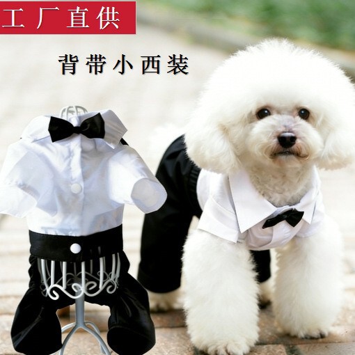Bright-Collar Suit for Pets, Cat and Dog Clothing, Fake Two-Piece Shirt for Wedding Photos, Direct Supply from Stock Bright-Collar Suit for Pets, Cat and Dog Clothing, Fake Two-Piece Shirt for Wedding Photos, Direct Supply from Stock