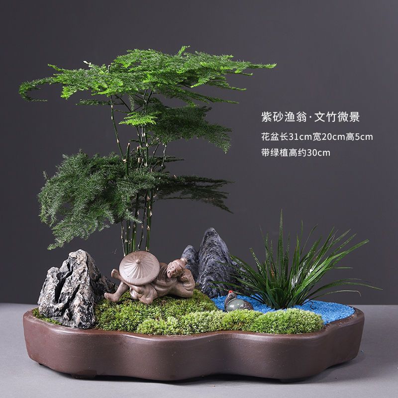 详情图