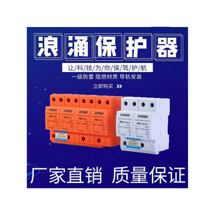 Shanghai People's Surge Protector 4P Power Lightning Protector Household 220V 2P Lightning Arrester Surge Switch Photovoltaic