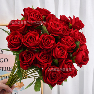 �羳����q��õ�廨�Ҿӻ�Y�ٻ������ָл�c�����ٲ�õ����滨
