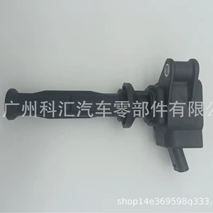 31359814 0281005862 31359990 Ag9G12A366Bb 0221604024 Ignition Coil