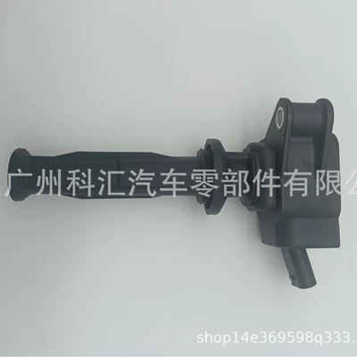 31359814 0281005862 31359990 Ag9G12A366Bb 0221604024 Ignition Coil (Alovlanma bobini (Babinalar))