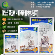 �d�r�p�������Ѿ�֬+����~�����R����߲����߲�ֲ���r�Ú�����