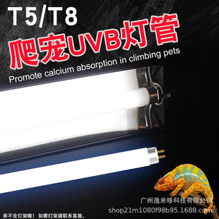 T5���������B��������a��uvb10.0���ܕ�8W 24W 39W 54WT815W