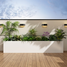 ���⻨����[�̘I�ֿ����^�Fˇ�����L���λ���������ڻ������ۙ�