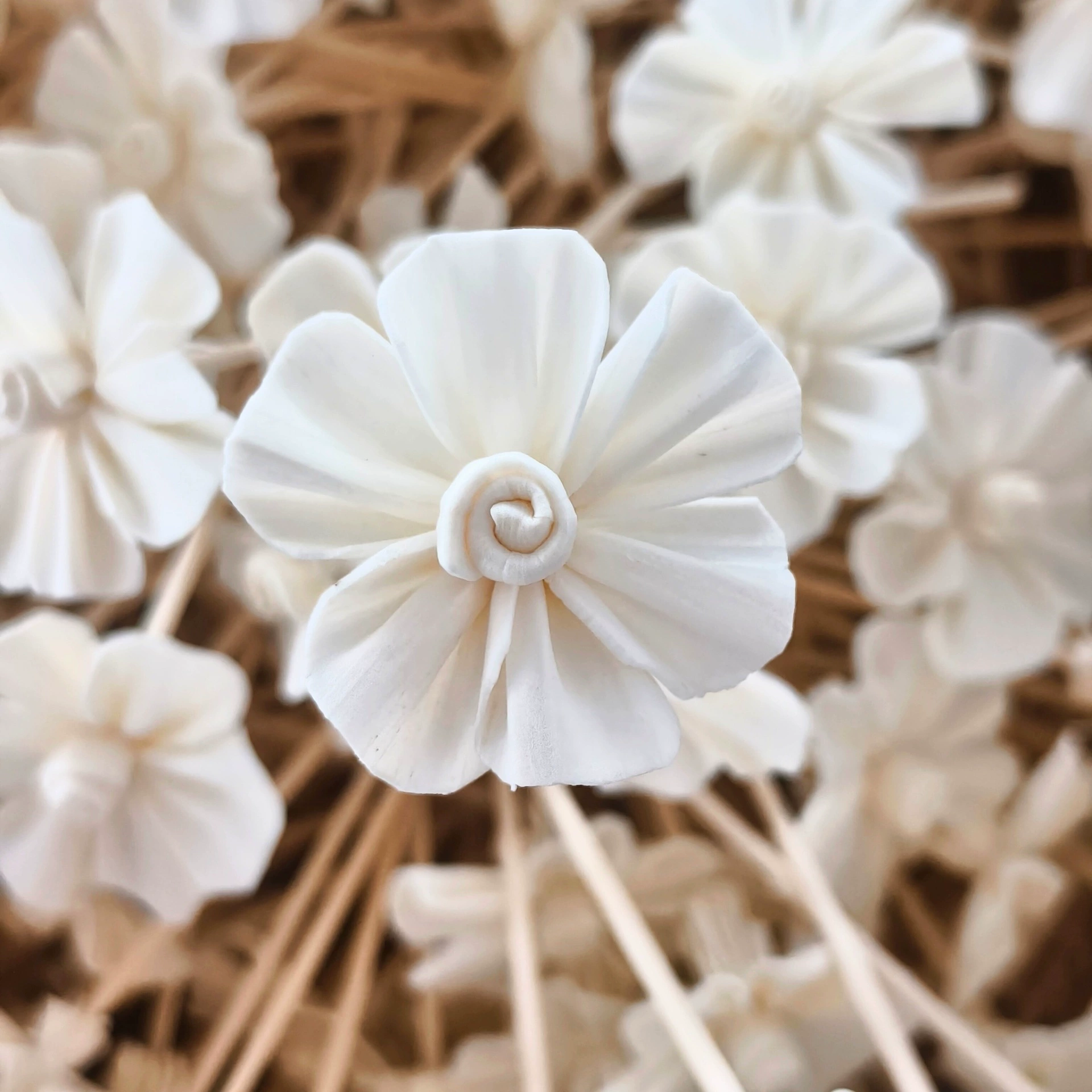 Оптовая продажа | 5 см ароматерапевтическое эфирное масло, шестилепестковый цветок, ароматерапевтические сухоцветы, которые можно окрашивать и пробивать с помощью палочек из ротангового волокна