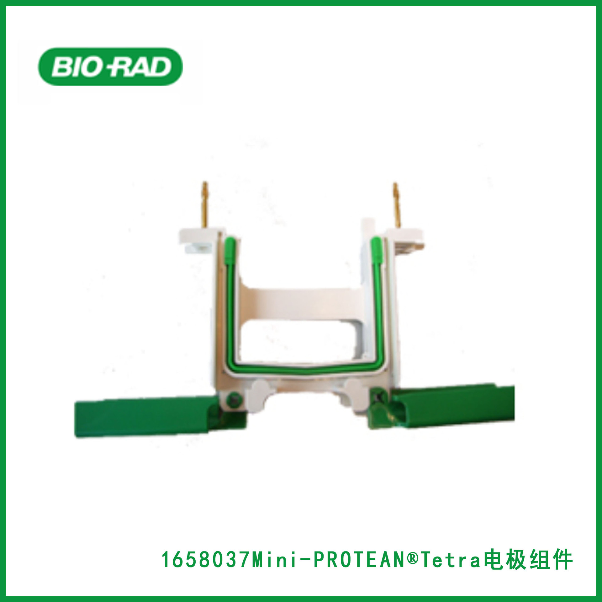 伯乐Bio-Rad1658037Mini-PROTEAN®Tetra电极组件