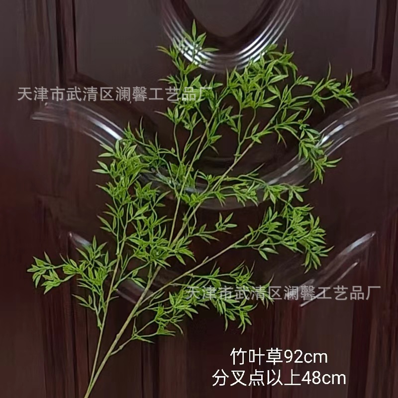 대나무 잎 잔디