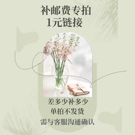 1元补邮费补差价专拍链接耳钉项链手链饰品批发青岛源头工厂运费