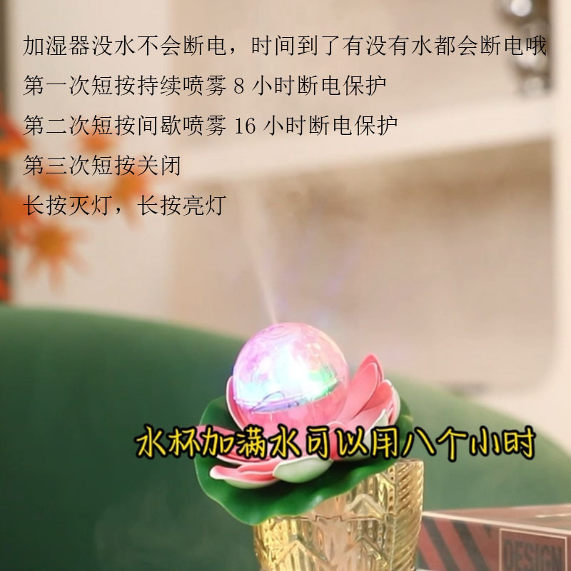 小荷花6.jpg