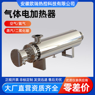 Nitrogen Ammonia Gas Air Water Vapor Carbon Dioxide Industrial Gas Auxiliary Electric Heater Explosion-Proof High Temperature Air Heating