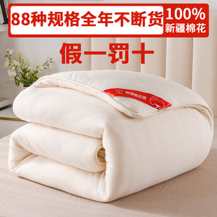 Xinjiang cotton quilt cotton wool cotton quilt cotton quilt core fish scale mesh quilt thickened winter quilt spring and autumn quilt core mattress