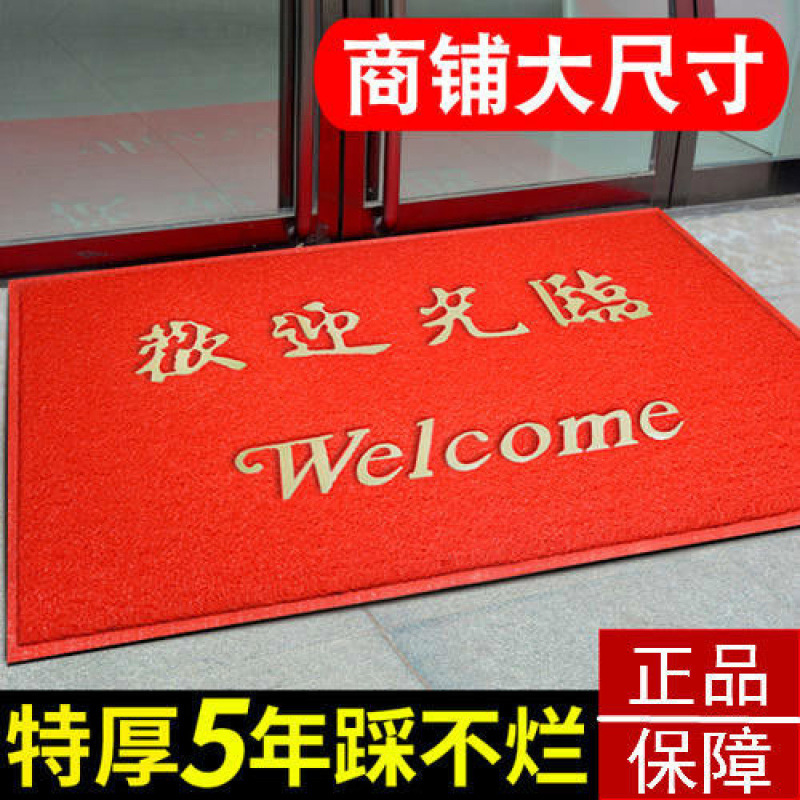 大门口地垫 脚垫丝圈PVC塑料家用垫防滑吸水欢迎光临商铺迎宾地垫