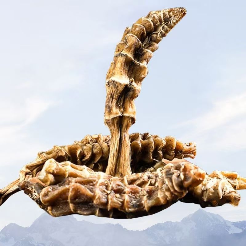 Dried Di Shen Earth Ginseng Root 500g Yunnan Herbal Soup and Wine Ingredient in use