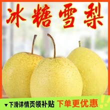 ���rˮ���ӱ�ѩ�������w��ѩ���������rѩ�����ѩ�����lѩ����
