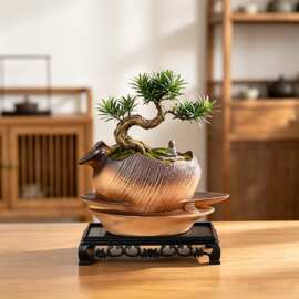 中式古风山水盆景盆大号吸水石假山盆迎客松造型盆陶瓷花盆批发价