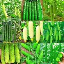 羳̹؛ļ߲˷NӴǫ̈̄҃ͥԺN˲