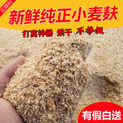 麦麸麦夫子麦敷子皮小麦皮小麦麸饲料鸡鸭面包虫麸子斤
