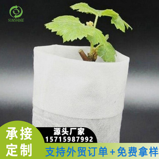 �r�ñ����������缏ճ�o���� ͸��һ������������Ӻ�o������