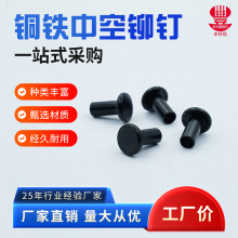 圆头半空心铆钉定制电器零件不锈钢铆钉玩具配件专用铜铁中空铆钉