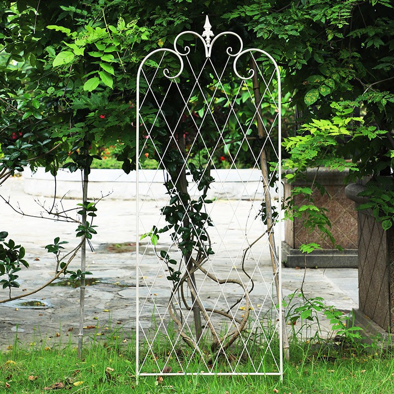 23303000977_1987642908