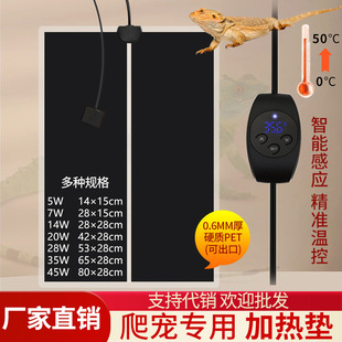 ���ܿ؜����x���ӟ�|֩��ϐ���،m�������üӟ�Ƭ���x���ðl��|