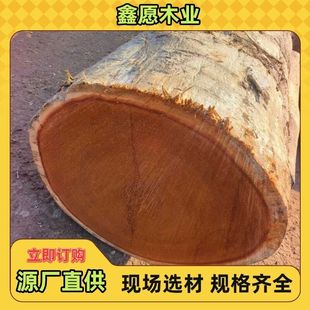 �����ϰ͵�ԭľ �����S����Ҿ߲ď��Ҹ۰͵�ľ �͵�ԭľ�S��